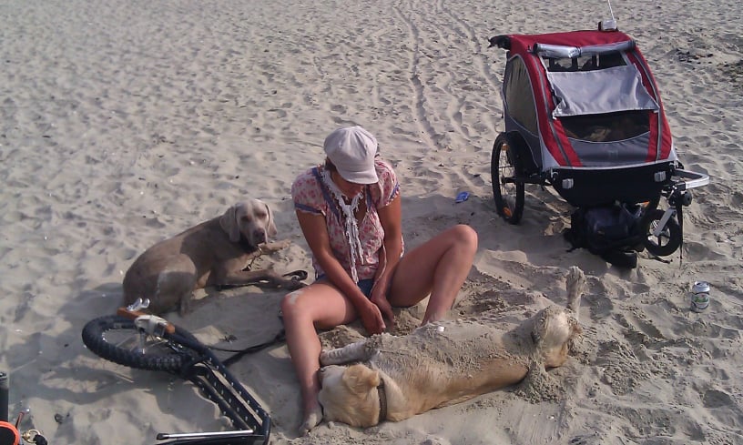 Mobirise Website Builder